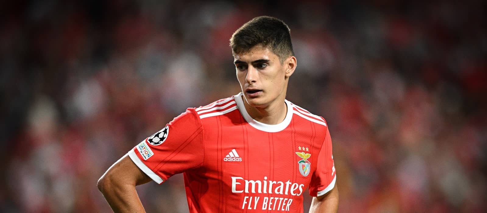 Benfica more likely to sell Antonio Silva than Joao Neves in the summer – Man United News And Transfer News