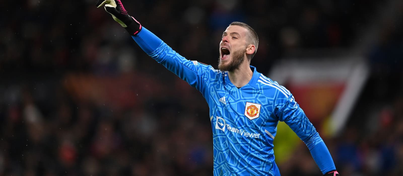 Newcastle considering shock move for free agent David de Gea after Nick Pope injury – Man United News And Transfer News